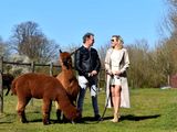 Alpacadating®