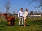 Alpacadating®