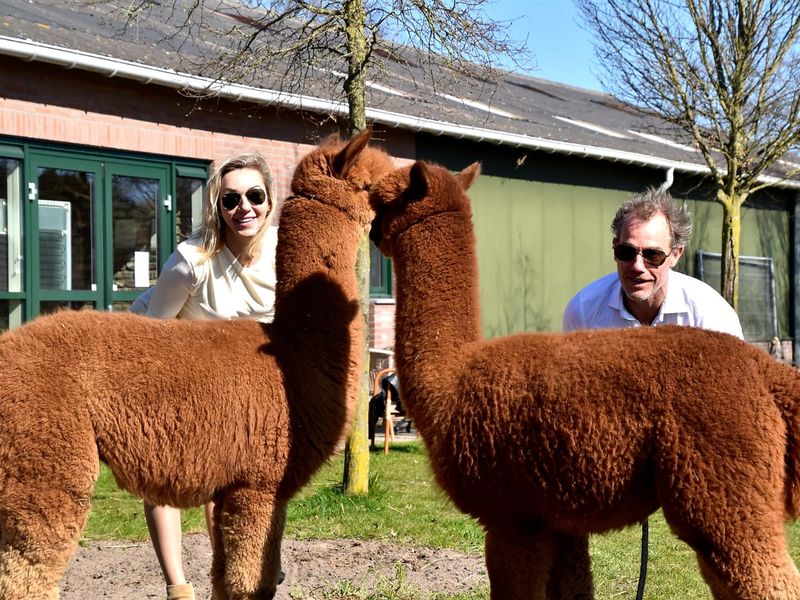 Welkom bij Alpacadating®