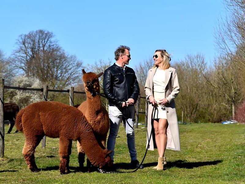 Alpacadating®