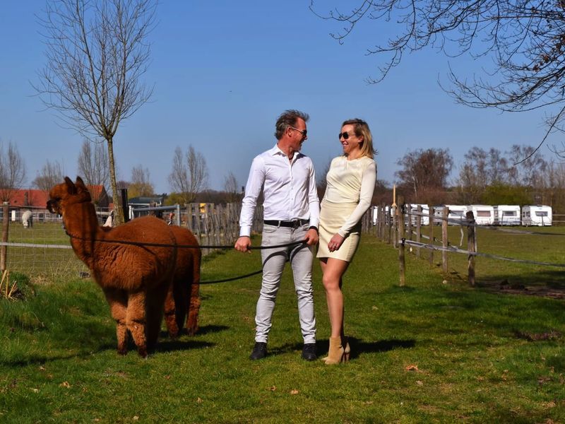 Alpacadating®
