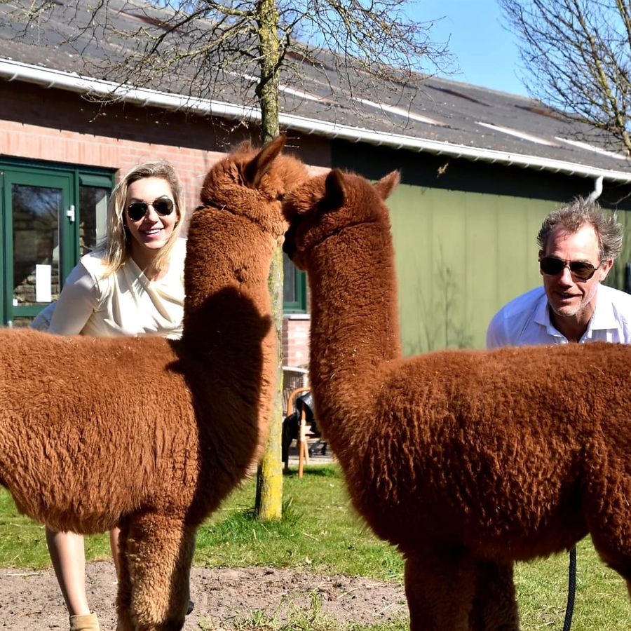 Welkom bij Alpacadating®